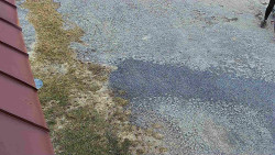 Nástup na běžecké tratě