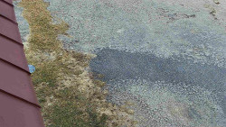 Nástup na běžecké tratě