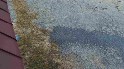 Nástup na běžecké tratě