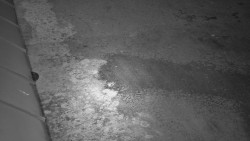 Nástup na běžecké tratě