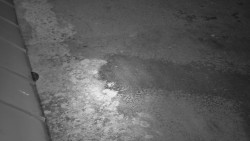 Nástup na běžecké tratě