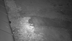 Nástup na běžecké tratě