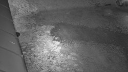 Nástup na běžecké tratě