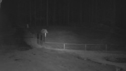 Nástup na běžecké tratě