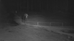 Nástup na běžecké tratě