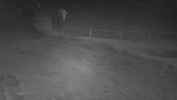 Nástup na běžecké tratě