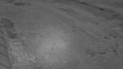 Nástup na běžecké tratě