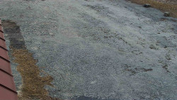 Nástup na běžecké tratě