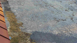 Nástup na běžecké tratě