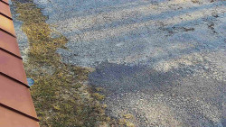 Nástup na běžecké tratě