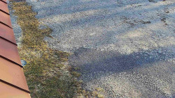 Nástup na běžecké tratě