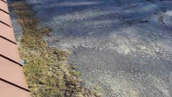 Nástup na běžecké tratě