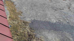 Nástup na běžecké tratě