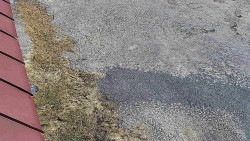 Nástup na běžecké tratě