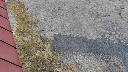 Nástup na běžecké tratě