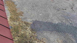 Nástup na běžecké tratě