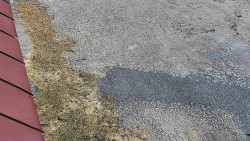 Nástup na běžecké tratě