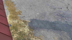 Nástup na běžecké tratě