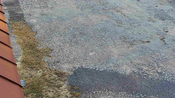 Nástup na běžecké tratě