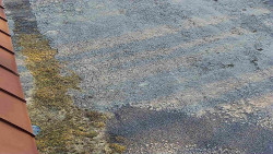 Nástup na běžecké tratě