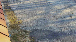 Nástup na běžecké tratě