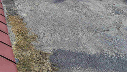 Nástup na běžecké tratě