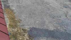 Nástup na běžecké tratě