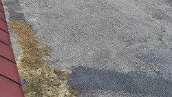 Nástup na běžecké tratě