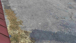 Nástup na běžecké tratě