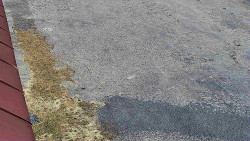 Nástup na běžecké tratě