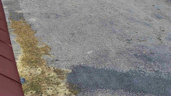 Nástup na běžecké tratě