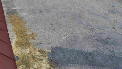 Nástup na běžecké tratě