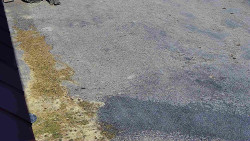 Nástup na běžecké tratě