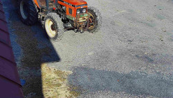 Nástup na běžecké tratě