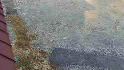 Nástup na běžecké tratě