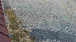 Nástup na běžecké tratě