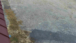 Nástup na běžecké tratě