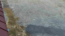 Nástup na běžecké tratě