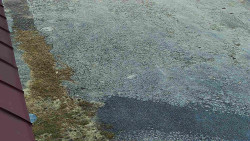 Nástup na běžecké tratě