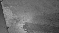 Nástup na běžecké tratě