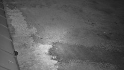 Nástup na běžecké tratě