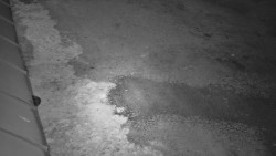 Nástup na běžecké tratě