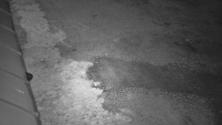 Nástup na běžecké tratě