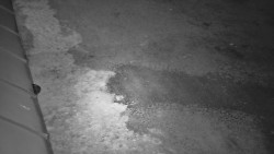 Nástup na běžecké tratě