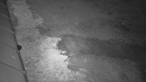 SkiAreál - Horský hotel Vsacký Cáb - Nástup na běžecké tratě - 10.3.2026 v 02:00 SkiAreál - Horský hotel Vsacký Cáb - Nástup na běžecké tratě - 10.3.2026 v 02:00