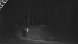 SkiAreál - Horský hotel Vsacký Cáb - Nástup na běžecké tratě - 10.3.2026 v 02:31 SkiAreál - Horský hotel Vsacký Cáb - Nástup na běžecké tratě - 10.3.2026 v 02:31