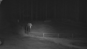 SkiAreál - Horský hotel Vsacký Cáb - Nástup na běžecké tratě - 10.3.2026 v 03:00 SkiAreál - Horský hotel Vsacký Cáb - Nástup na běžecké tratě - 10.3.2026 v 03:00