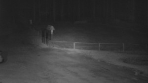 SkiAreál - Horský hotel Vsacký Cáb - Nástup na běžecké tratě - 10.3.2026 v 03:30 SkiAreál - Horský hotel Vsacký Cáb - Nástup na běžecké tratě - 10.3.2026 v 03:30