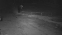 Nástup na běžecké tratě