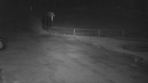 SkiAreál - Horský hotel Vsacký Cáb - Nástup na běžecké tratě - 10.3.2026 v 04:00 SkiAreál - Horský hotel Vsacký Cáb - Nástup na běžecké tratě - 10.3.2026 v 04:00